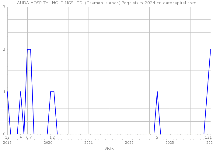AUDA HOSPITAL HOLDINGS LTD. (Cayman Islands) Page visits 2024 