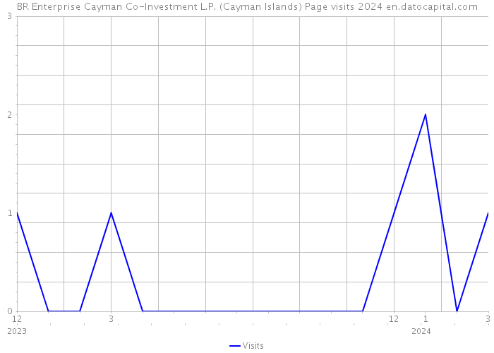 BR Enterprise Cayman Co-Investment L.P. (Cayman Islands) Page visits 2024 