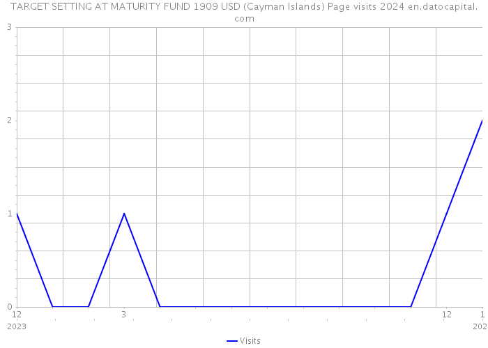 TARGET SETTING AT MATURITY FUND 1909 USD (Cayman Islands) Page visits 2024 