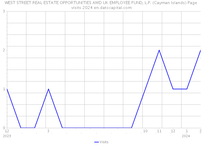 WEST STREET REAL ESTATE OPPORTUNITIES AMD UK EMPLOYEE FUND, L.P. (Cayman Islands) Page visits 2024 