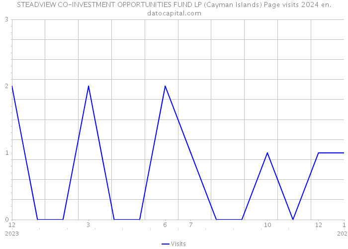 STEADVIEW CO-INVESTMENT OPPORTUNITIES FUND LP (Cayman Islands) Page visits 2024 