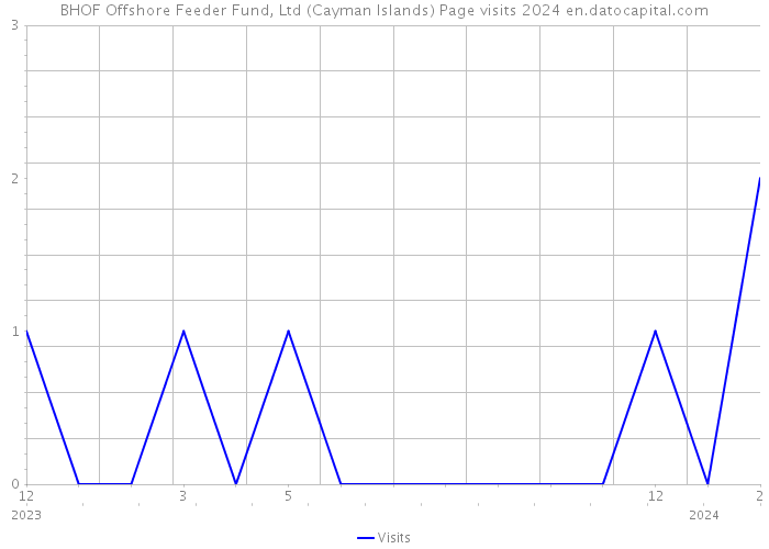 BHOF Offshore Feeder Fund, Ltd (Cayman Islands) Page visits 2024 