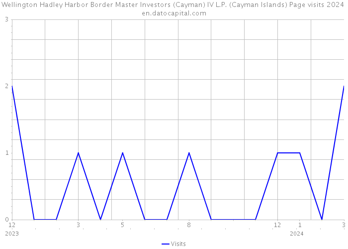 Wellington Hadley Harbor Border Master Investors (Cayman) IV L.P. (Cayman Islands) Page visits 2024 