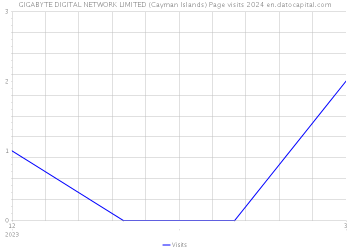 GIGABYTE DIGITAL NETWORK LIMITED (Cayman Islands) Page visits 2024 