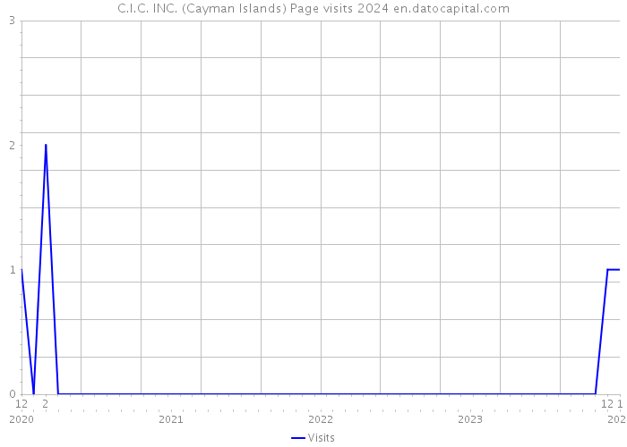 C.I.C. INC. (Cayman Islands) Page visits 2024 