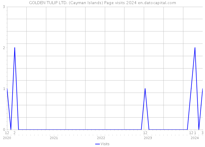 GOLDEN TULIP LTD. (Cayman Islands) Page visits 2024 