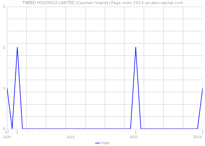 TWEED HOLDINGS LIMITED (Cayman Islands) Page visits 2024 