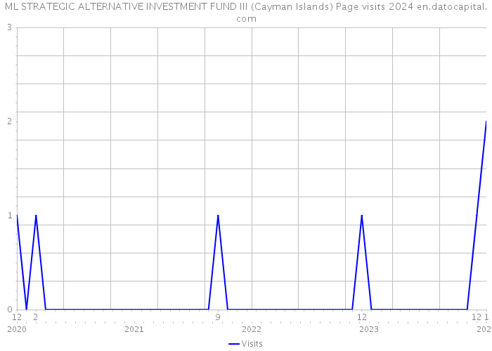 ML STRATEGIC ALTERNATIVE INVESTMENT FUND III (Cayman Islands) Page visits 2024 