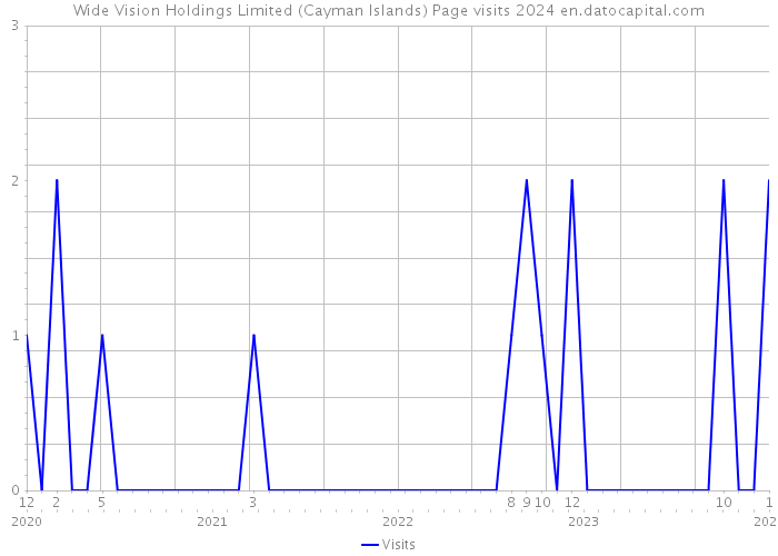 Wide Vision Holdings Limited (Cayman Islands) Page visits 2024 