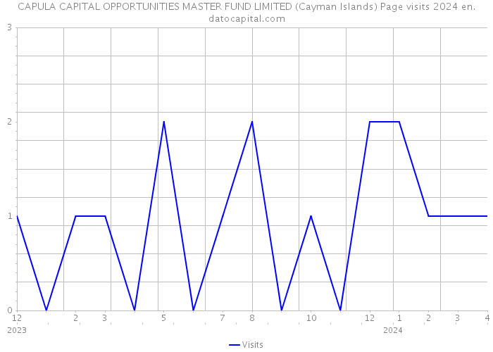 CAPULA CAPITAL OPPORTUNITIES MASTER FUND LIMITED (Cayman Islands) Page visits 2024 