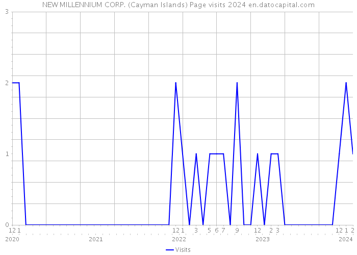 NEW MILLENNIUM CORP. (Cayman Islands) Page visits 2024 
