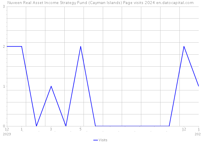 Nuveen Real Asset Income Strategy Fund (Cayman Islands) Page visits 2024 