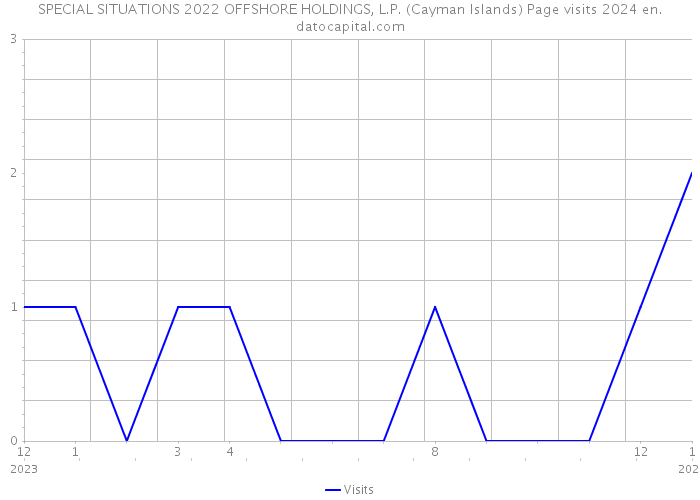 SPECIAL SITUATIONS 2022 OFFSHORE HOLDINGS, L.P. (Cayman Islands) Page visits 2024 