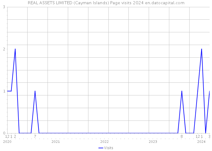 REAL ASSETS LIMITED (Cayman Islands) Page visits 2024 