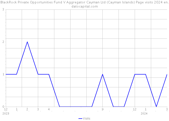 BlackRock Private Opportunities Fund V Aggregator Cayman Ltd (Cayman Islands) Page visits 2024 