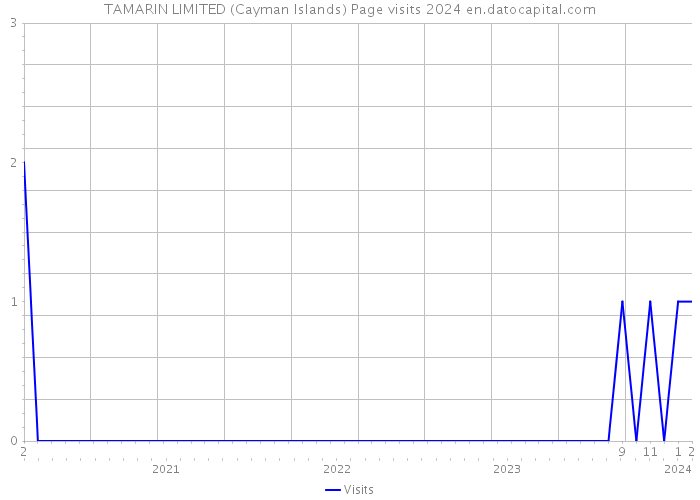 TAMARIN LIMITED (Cayman Islands) Page visits 2024 