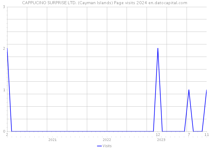 CAPPUCINO SURPRISE LTD. (Cayman Islands) Page visits 2024 