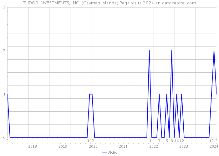 TUDOR INVESTMENTS, INC. (Cayman Islands) Page visits 2024 