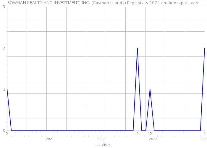 BOWMAN REALTY AND INVESTMENT, INC. (Cayman Islands) Page visits 2024 
