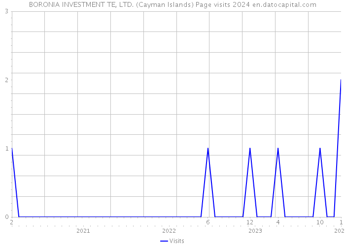 BORONIA INVESTMENT TE, LTD. (Cayman Islands) Page visits 2024 