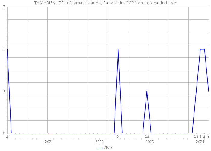 TAMARISK LTD. (Cayman Islands) Page visits 2024 