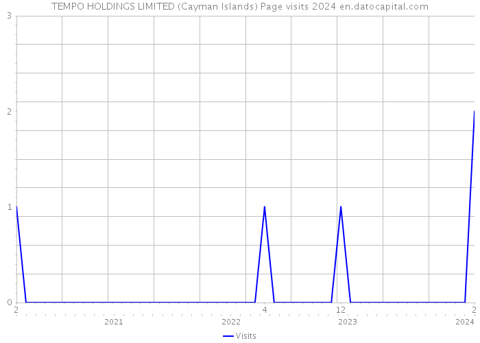 TEMPO HOLDINGS LIMITED (Cayman Islands) Page visits 2024 