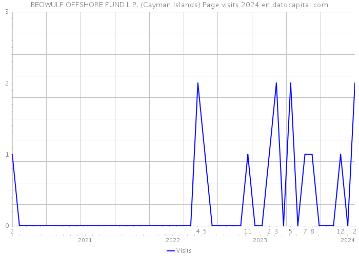 BEOWULF OFFSHORE FUND L.P. (Cayman Islands) Page visits 2024 