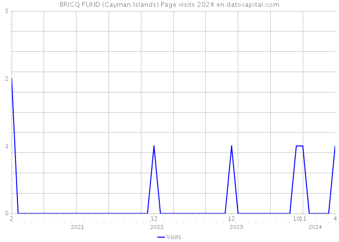 BRICQ FUND (Cayman Islands) Page visits 2024 