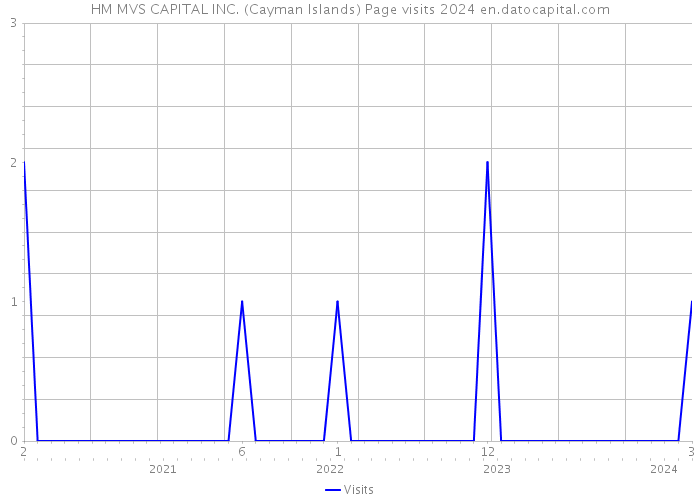 HM MVS CAPITAL INC. (Cayman Islands) Page visits 2024 