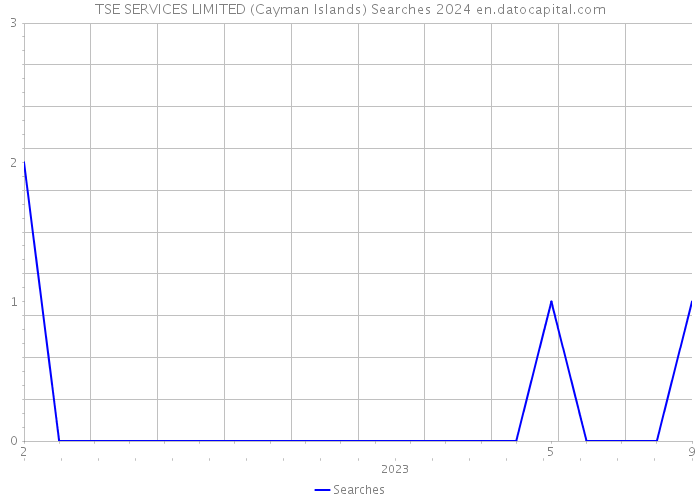 TSE SERVICES LIMITED (Cayman Islands) Searches 2024 