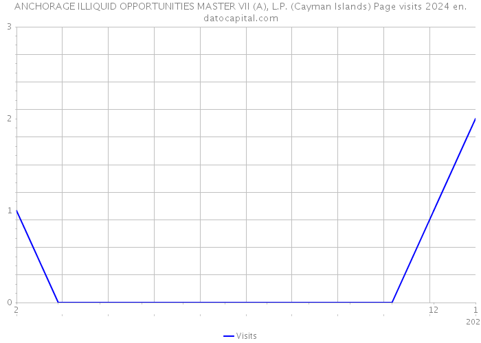 ANCHORAGE ILLIQUID OPPORTUNITIES MASTER VII (A), L.P. (Cayman Islands) Page visits 2024 