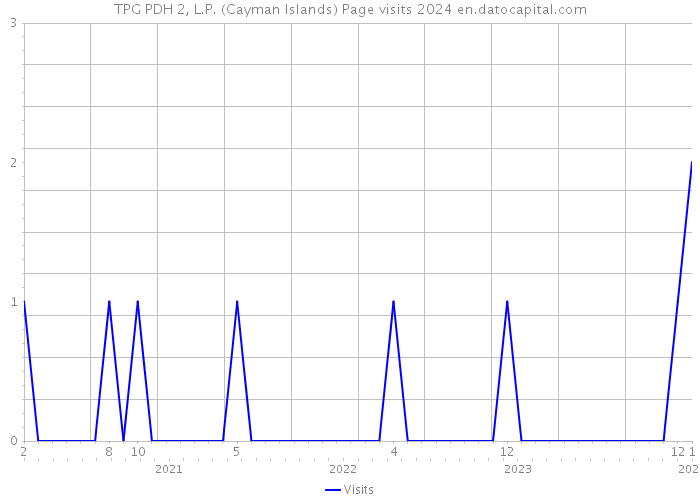 TPG PDH 2, L.P. (Cayman Islands) Page visits 2024 