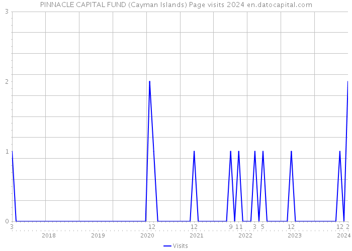 PINNACLE CAPITAL FUND (Cayman Islands) Page visits 2024 