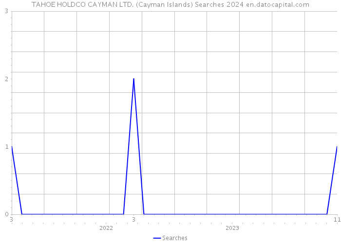 TAHOE HOLDCO CAYMAN LTD. (Cayman Islands) Searches 2024 