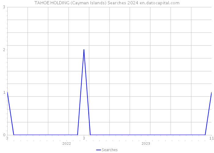 TAHOE HOLDING (Cayman Islands) Searches 2024 