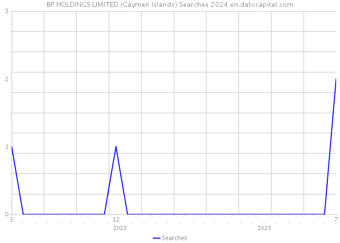 BP HOLDINGS LIMITED (Cayman Islands) Searches 2024 