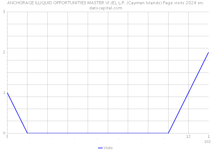 ANCHORAGE ILLIQUID OPPORTUNITIES MASTER VI (E), L.P. (Cayman Islands) Page visits 2024 