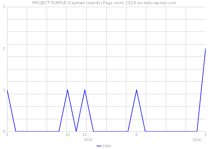 PROJECT PURPLE (Cayman Islands) Page visits 2024 