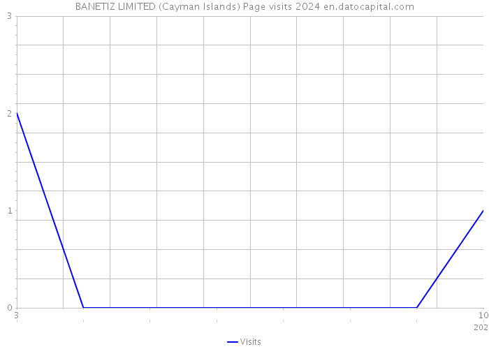 BANETIZ LIMITED (Cayman Islands) Page visits 2024 