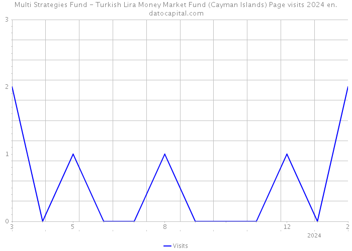 Multi Strategies Fund - Turkish Lira Money Market Fund (Cayman Islands) Page visits 2024 