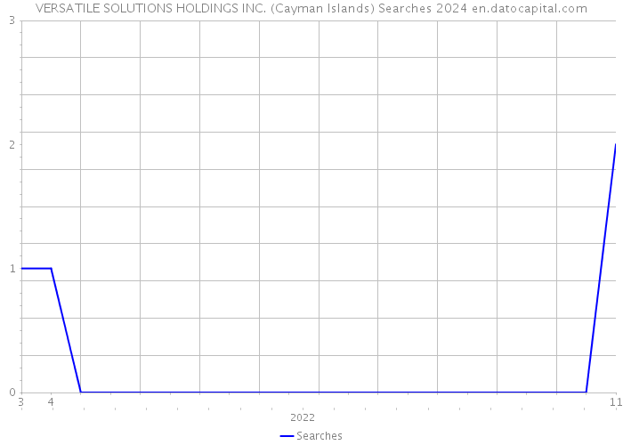 VERSATILE SOLUTIONS HOLDINGS INC. (Cayman Islands) Searches 2024 