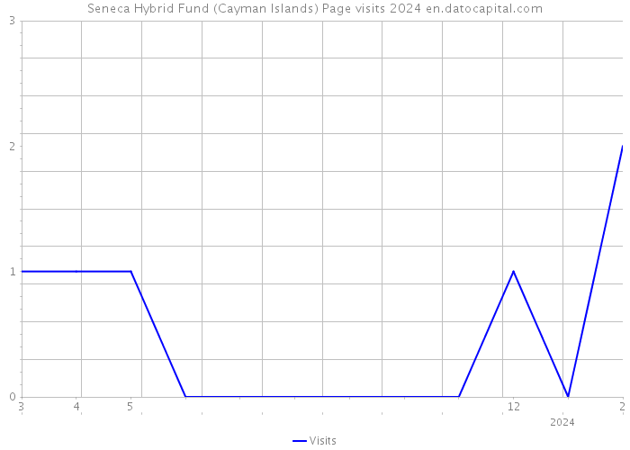 Seneca Hybrid Fund (Cayman Islands) Page visits 2024 