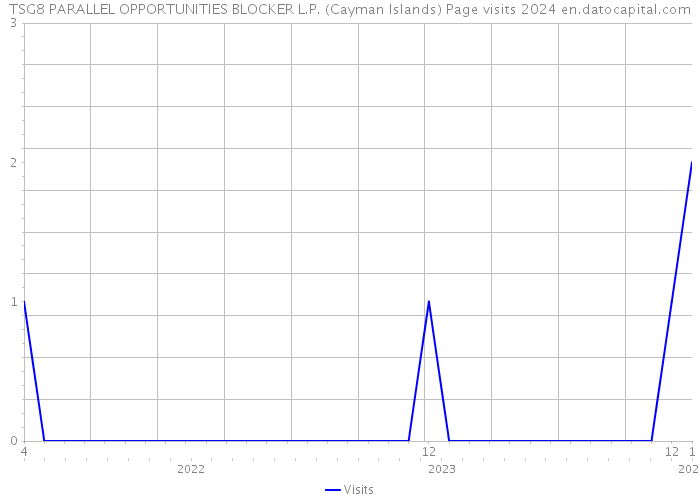 TSG8 PARALLEL OPPORTUNITIES BLOCKER L.P. (Cayman Islands) Page visits 2024 