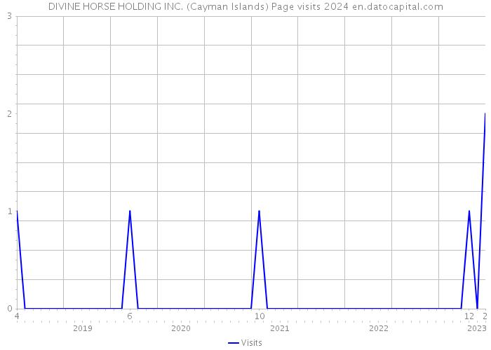 DIVINE HORSE HOLDING INC. (Cayman Islands) Page visits 2024 
