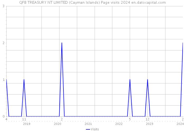 QFB TREASURY NT LIMITED (Cayman Islands) Page visits 2024 