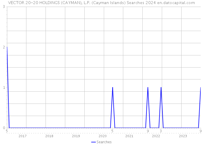 VECTOR 20-20 HOLDINGS (CAYMAN), L.P. (Cayman Islands) Searches 2024 