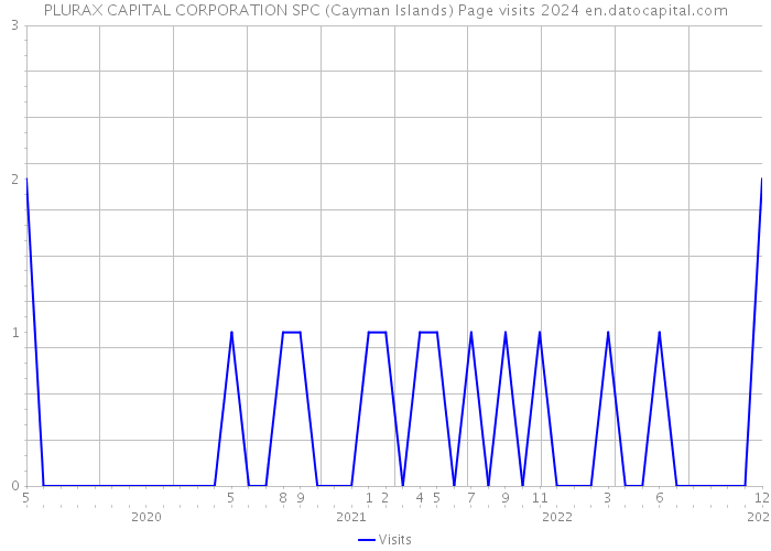 PLURAX CAPITAL CORPORATION SPC (Cayman Islands) Page visits 2024 