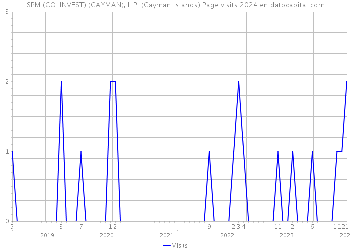 SPM (CO-INVEST) (CAYMAN), L.P. (Cayman Islands) Page visits 2024 