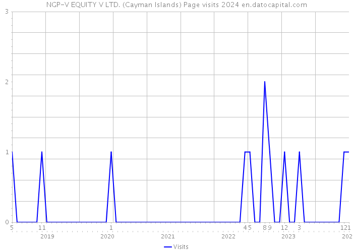 NGP-V EQUITY V LTD. (Cayman Islands) Page visits 2024 
