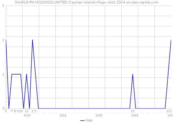 SAURUS PM HOLDINGS LIMITED (Cayman Islands) Page visits 2024 